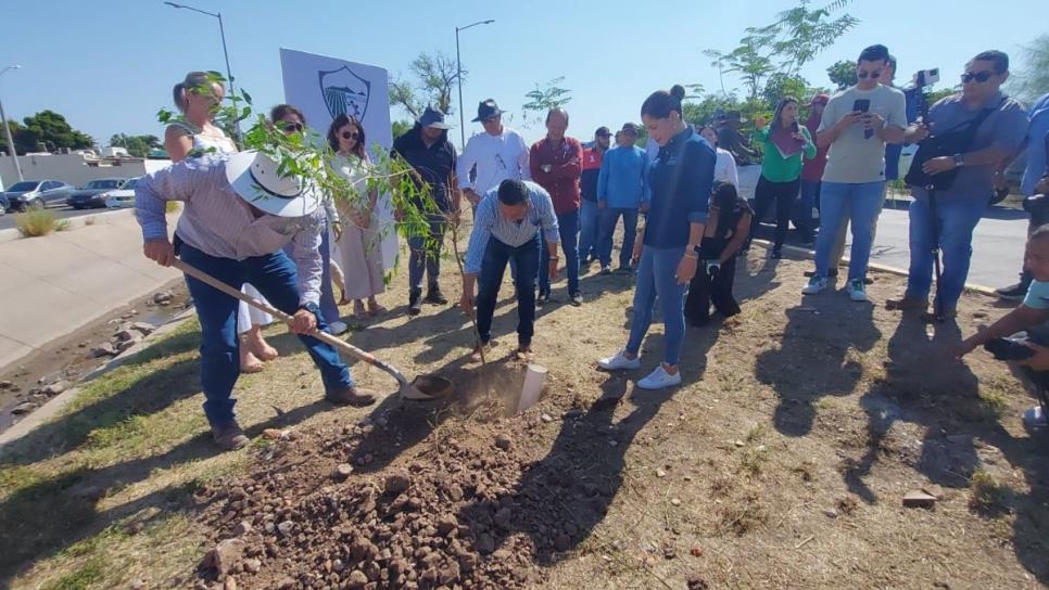 Ahome celebra el Día del Árbol con la plantación de 3 mil 500 ejemplares