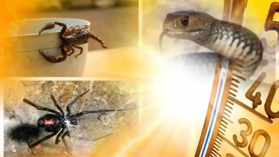 FOTO: Cortesía/ElMazañana.