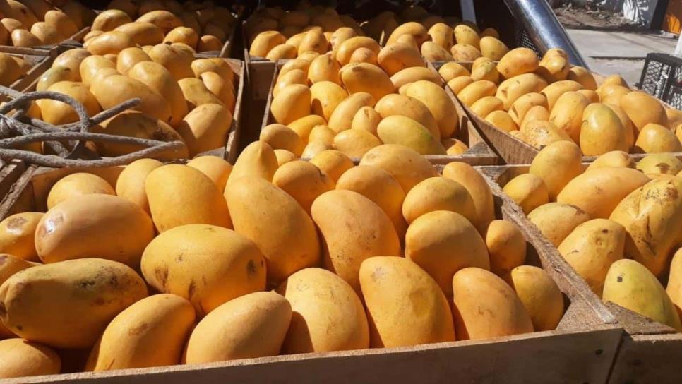 Este delicioso mango fue inventado por un ingeniero mexicano ¿cuál es?