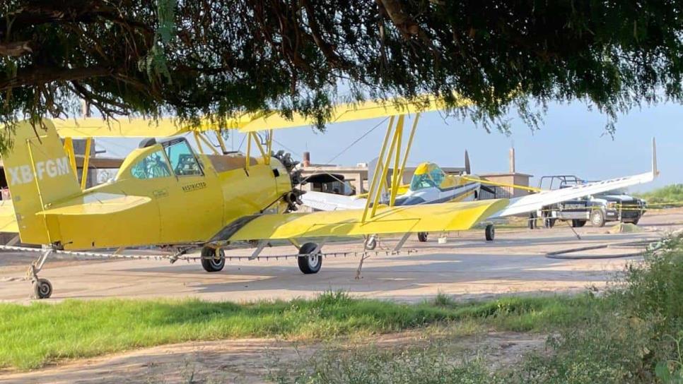 Muere velador tras golpearse con hélice de avioneta en la zona rural de Ahome