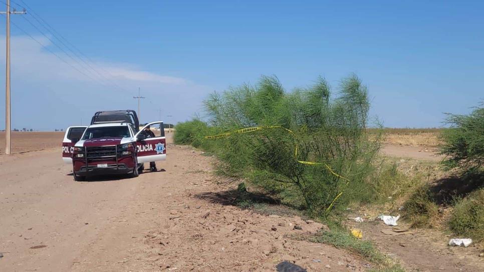 Encuentran a hombre sin vida en el Ejido 20 de Noviembre Viejo, Ahome 