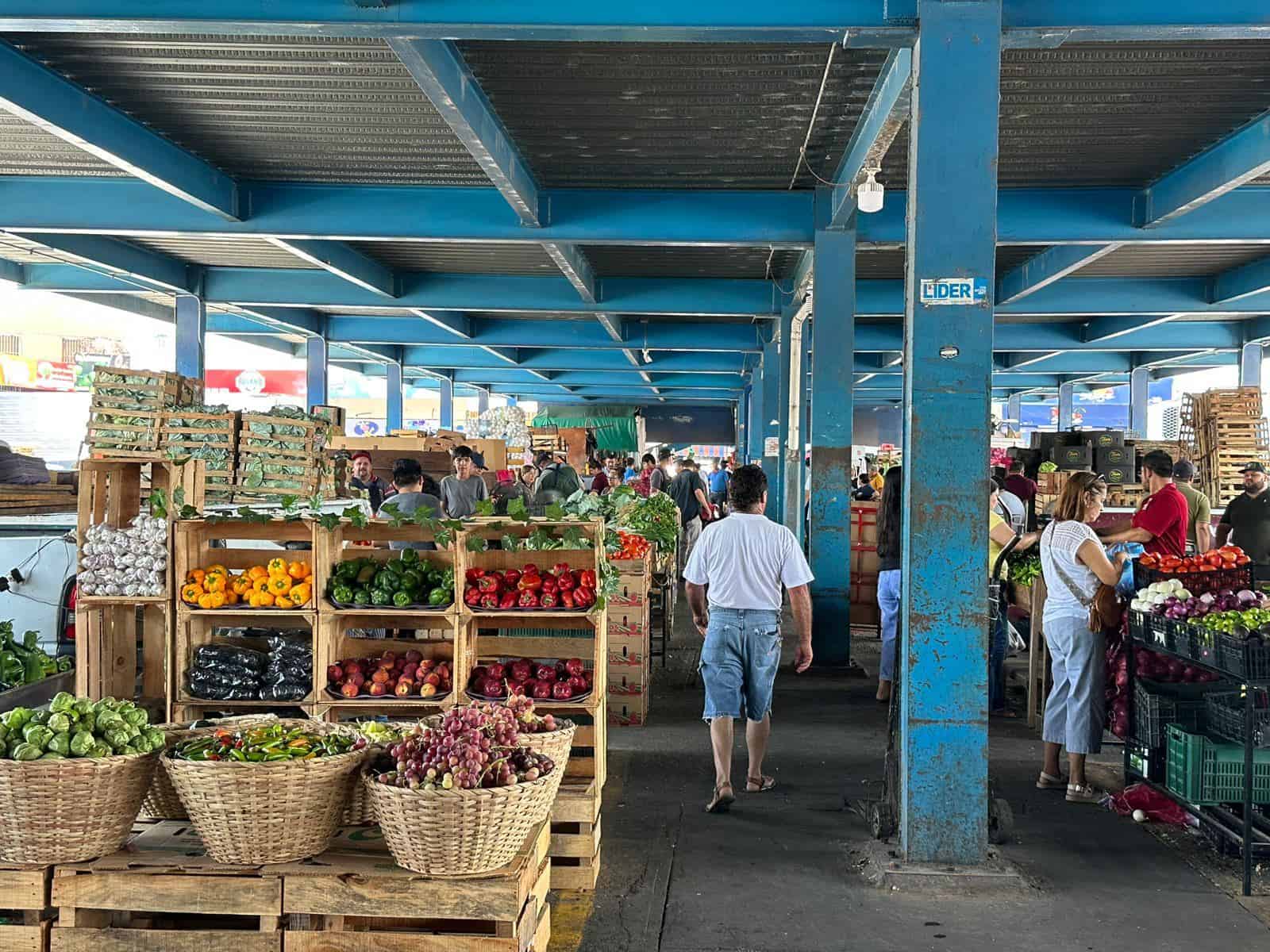 FOTO: Ernesto Torres.