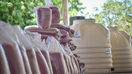 Ganaderos de Sinaloa reciben 53 mil bolsas de sorgo forrajero