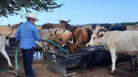 «Es un abuso de los industriales comprar leche a 5 pesos»: Faustino Hernández