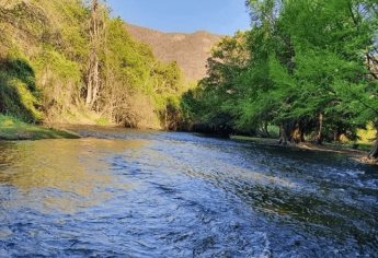 Los Sabinos en Ocoroni, Sinaloa, un paraje como sacado de cuentos de hadas