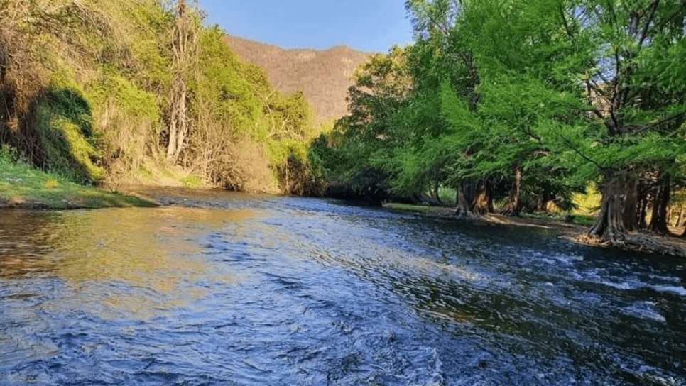 Los Sabinos en Ocoroni, Sinaloa, un paraje como sacado de cuentos de hadas