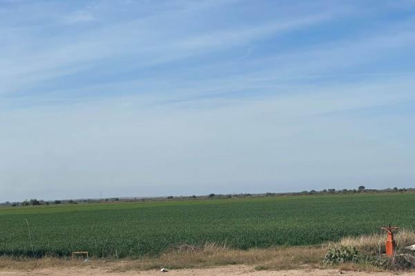En esta comunidad de Ahome existe un microclima que lleva al extremo el calor y el frío