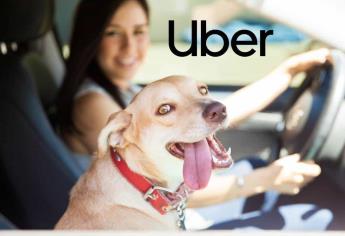 Uber Pet llega a México: ¿qué es y cómo funciona?