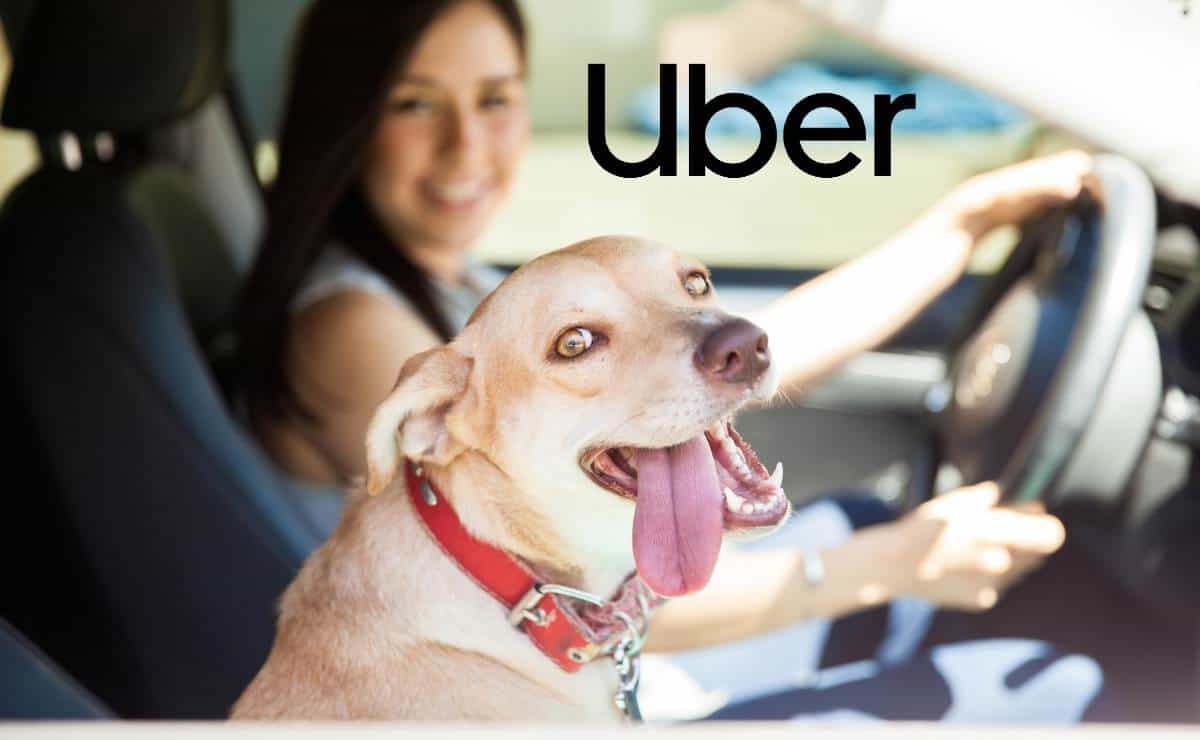 Uber Pet llega a México: ¿qué es y cómo funciona?