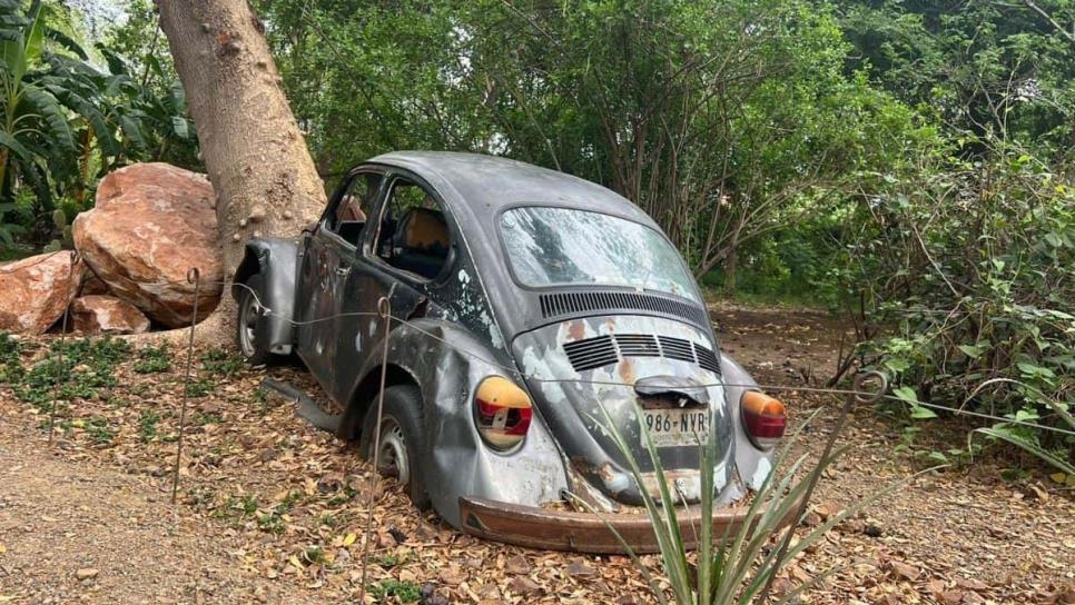 ¿El vocho estrellado en el Jardín Botánico de Culiacán es una obra de arte?