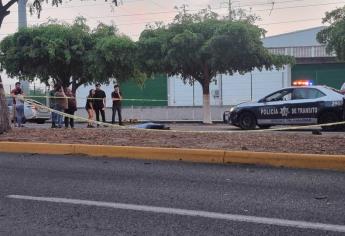 Motociclista pierde la vida al chocar contra un árbol en Aguaruto, Culiacán