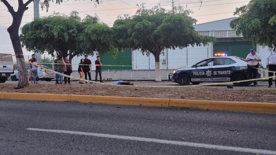 Motociclista pierde la vida al chocar contra un árbol en Aguaruto, Culiacán