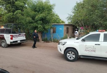 Policías arriesgan sus vidas para rescatar a familia tras ataque de abejas en Ahome