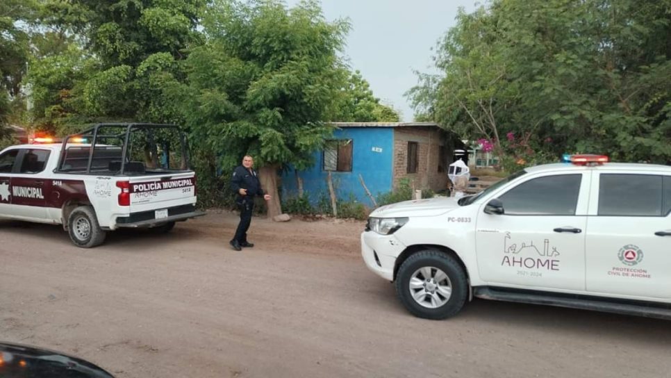 Policías arriesgan sus vidas para rescatar a familia tras ataque de abejas en Ahome