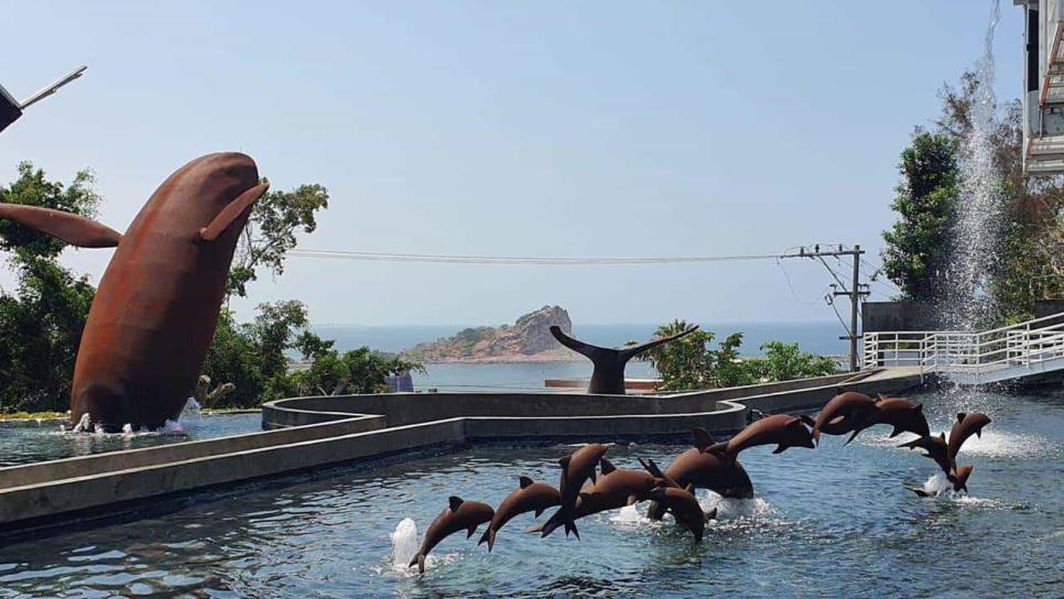 El Museo de la Ballena en Mazatlán abre sus puertas; ¿qué hay que ver?