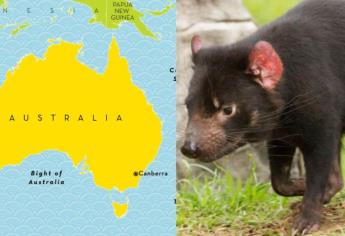 En Australia avistan animal que tenia 3 mil años sin nacer