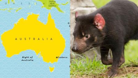 En Australia avistan animal que tenia 3 mil años sin nacer