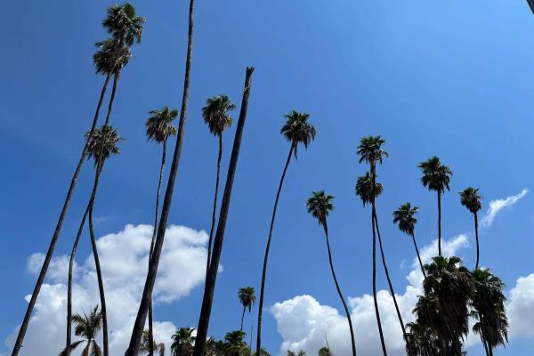 ¡Más calor! Clima en Los Mochis este miércoles, 24 de julio