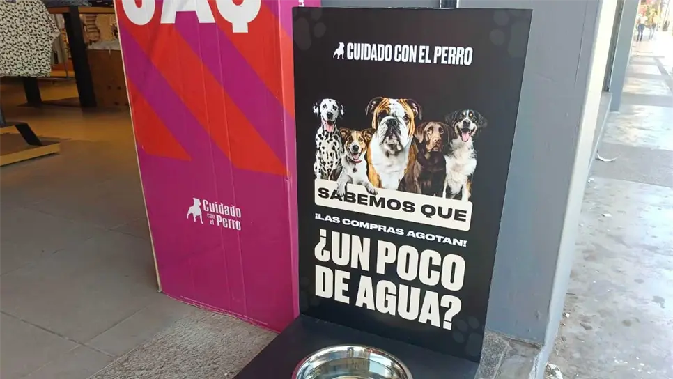 FOTO: Rita Sánchez.