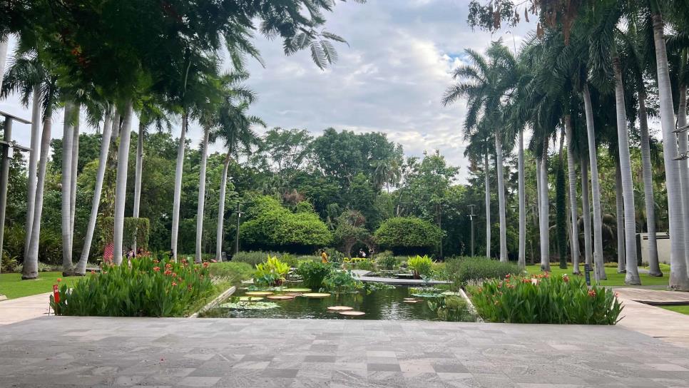 «Las 2 mil monedas», el tesoro imposible de tomar en el Jardín Botánico de Culiacán