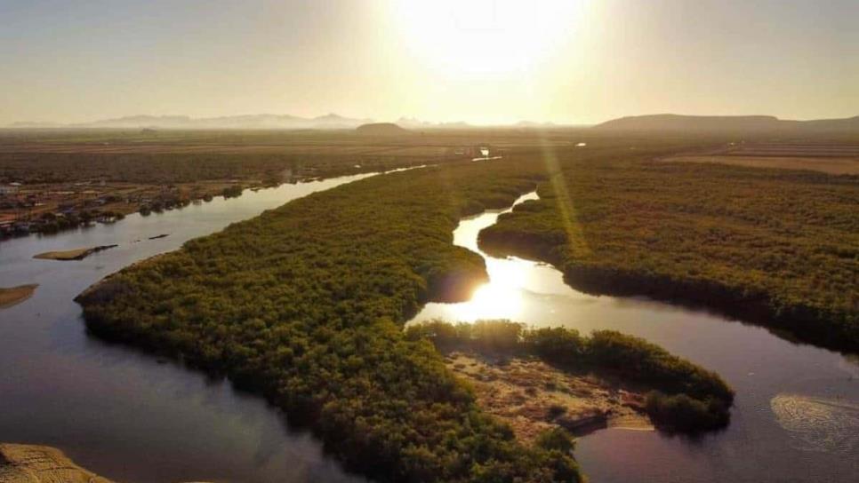 Denuncian acaparamiento de zona de manglares en la playa Las Salinas, Ahome