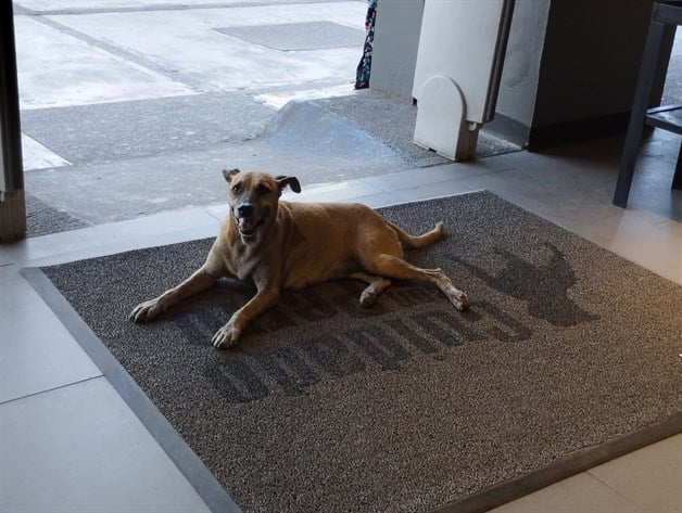 Imagen Placeholder Imagen Placeholder