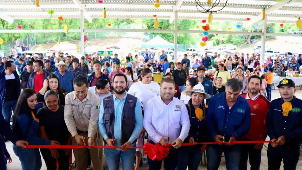 Alcalde de Badiraguato inaugura la Segunda Feria del Mango 2024; destaca el programa «Sembrando Vida»