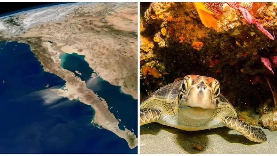 FOTO: Golfo de California.