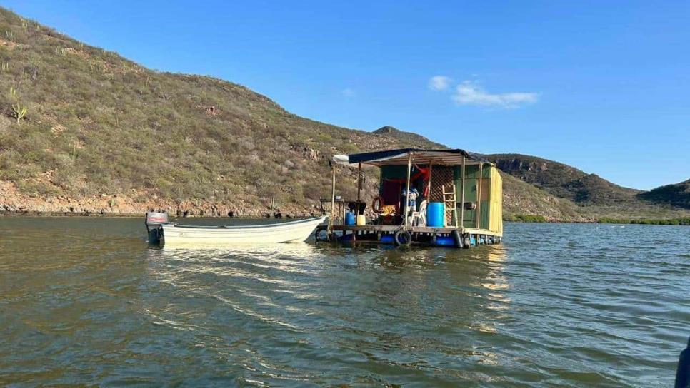 ¿Qué ostiones prefieres en Los Mochis: Los Álamos, Topolobampo o La Casita del Ostión?