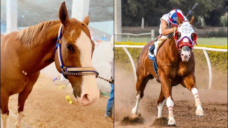 ¿Quién era el dueño de «El Payaso», icónico caballo de carreras en ...