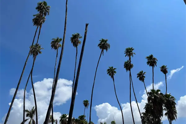 ¡Calorón! Hasta 41 grados se esperan en Los Mochis este martes, 30 de julio