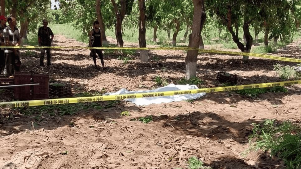 Muere trabajador agrícola en El Fuerte tras recibir descarga eléctrica