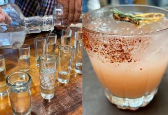 El mezcal, una bebida con propiedades curativas que ya se produce en Sinaloa