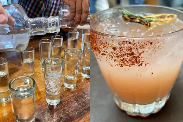 El mezcal, una bebida con propiedades curativas que ya se produce en Sinaloa El mezcal, una bebida con propiedades curativas que ya se produce en Sinaloa