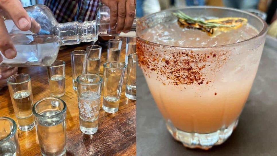 El mezcal, una bebida con propiedades curativas que ya se produce en Sinaloa