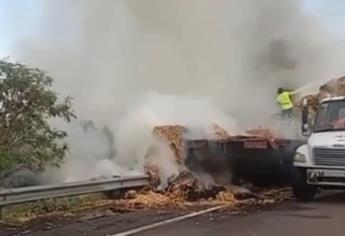 Pacas de alimento para ganado se incendian por la autopista Benito Juárez, en Costa Rica