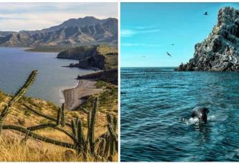 El Cañón de Barajitas, paradisiaco lugar donde se junta la playa y el desierto en Sonora