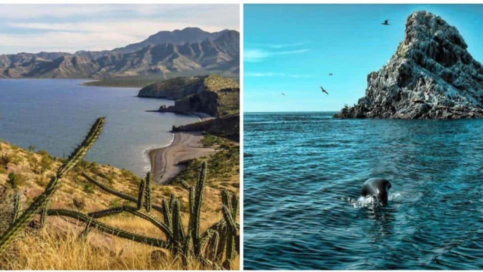 El Cañón de Barajitas, paradisiaco lugar donde se junta la playa y el desierto en Sonora