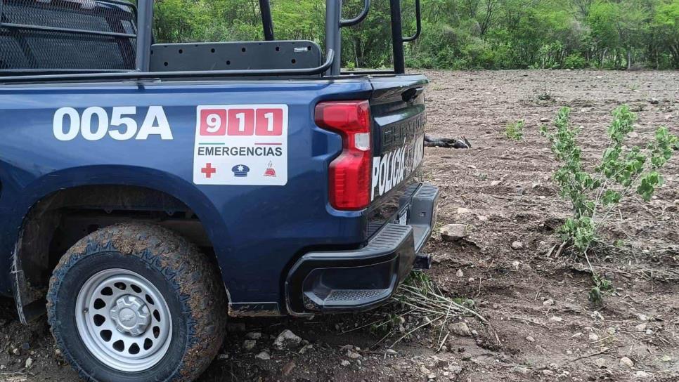 Encuentran cuerpo en descomposición en campo agrícola de Mocorito 