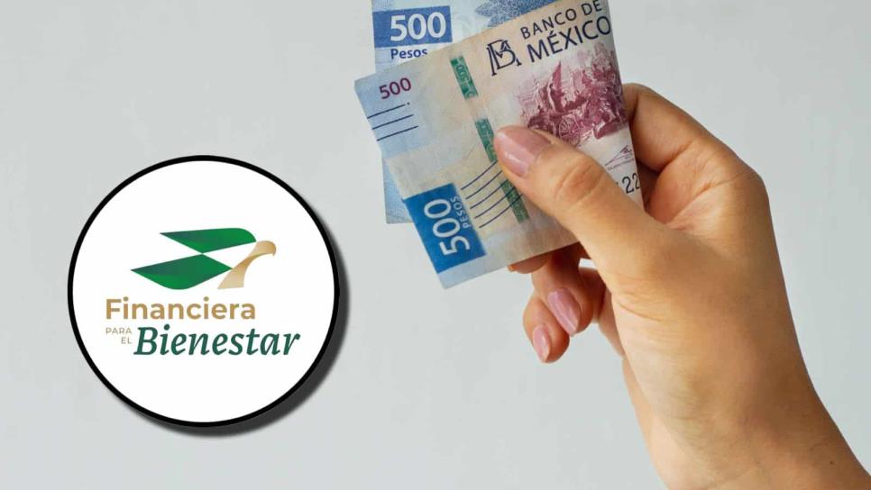 Tandas para el Bienestar: ¿qué son y cómo funciona esta iniciativa pública?