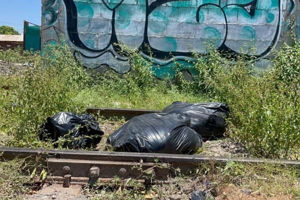 ¡Macabro hallazgo! Encuentran restos de animales en plena calle de Mazatlán
