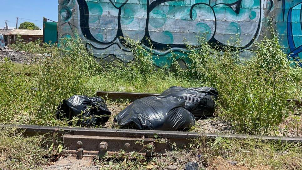 ¡Macabro hallazgo! Encuentran restos de animales en plena calle de Mazatlán