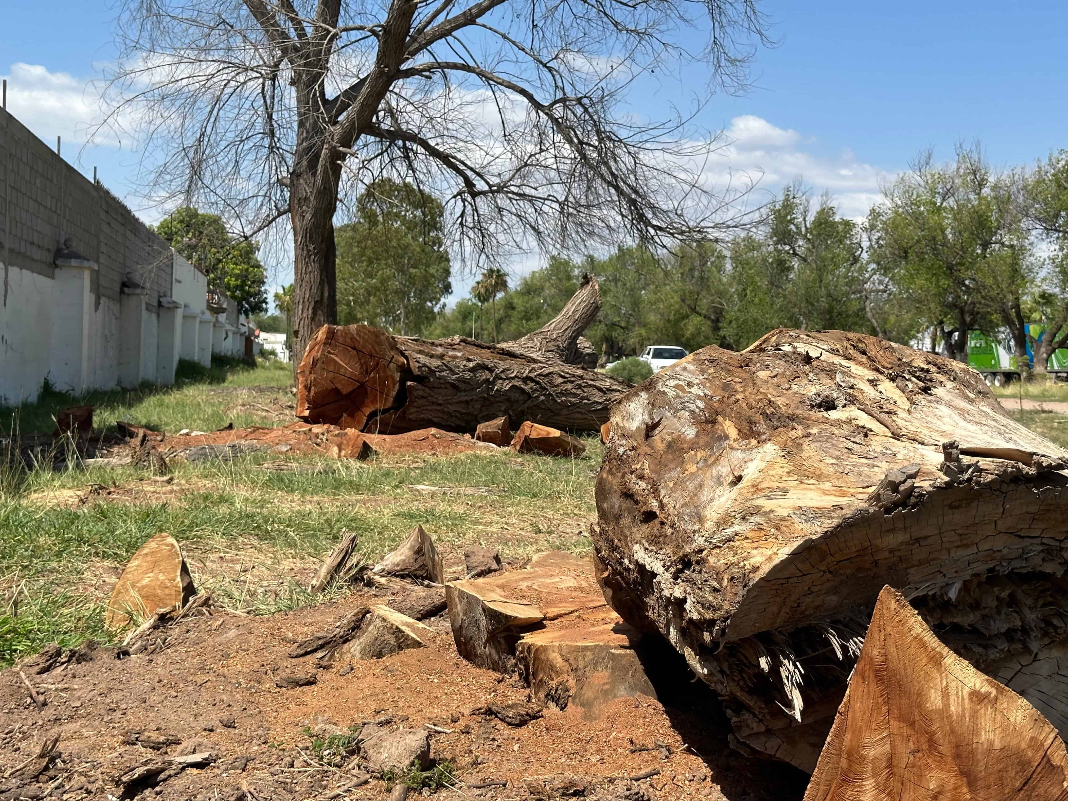 FOTO: Ernesto Torres.