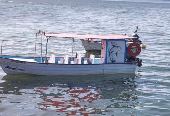 Tour en lancha en Topolobampo ¿Cuánto cuesta y qué incluye?