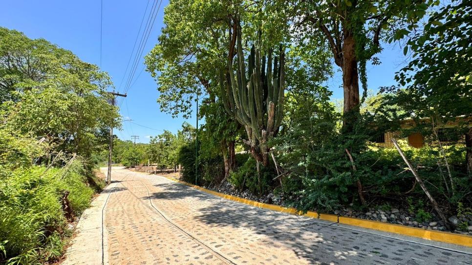 «Hemos dedicado el dinero para hacerle obra a los pueblos»: José Paz López inaugura pavimentación en La Amapa