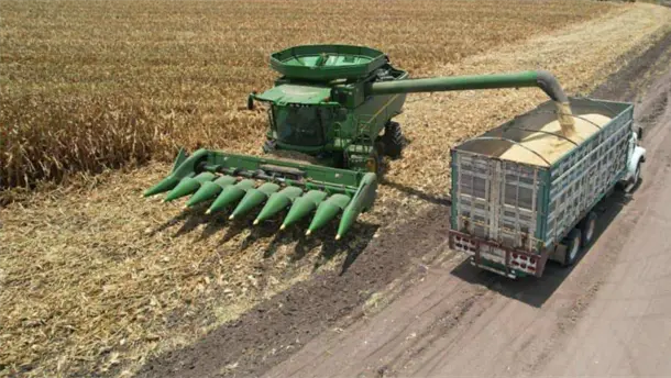 Nota Relacionada de Agro