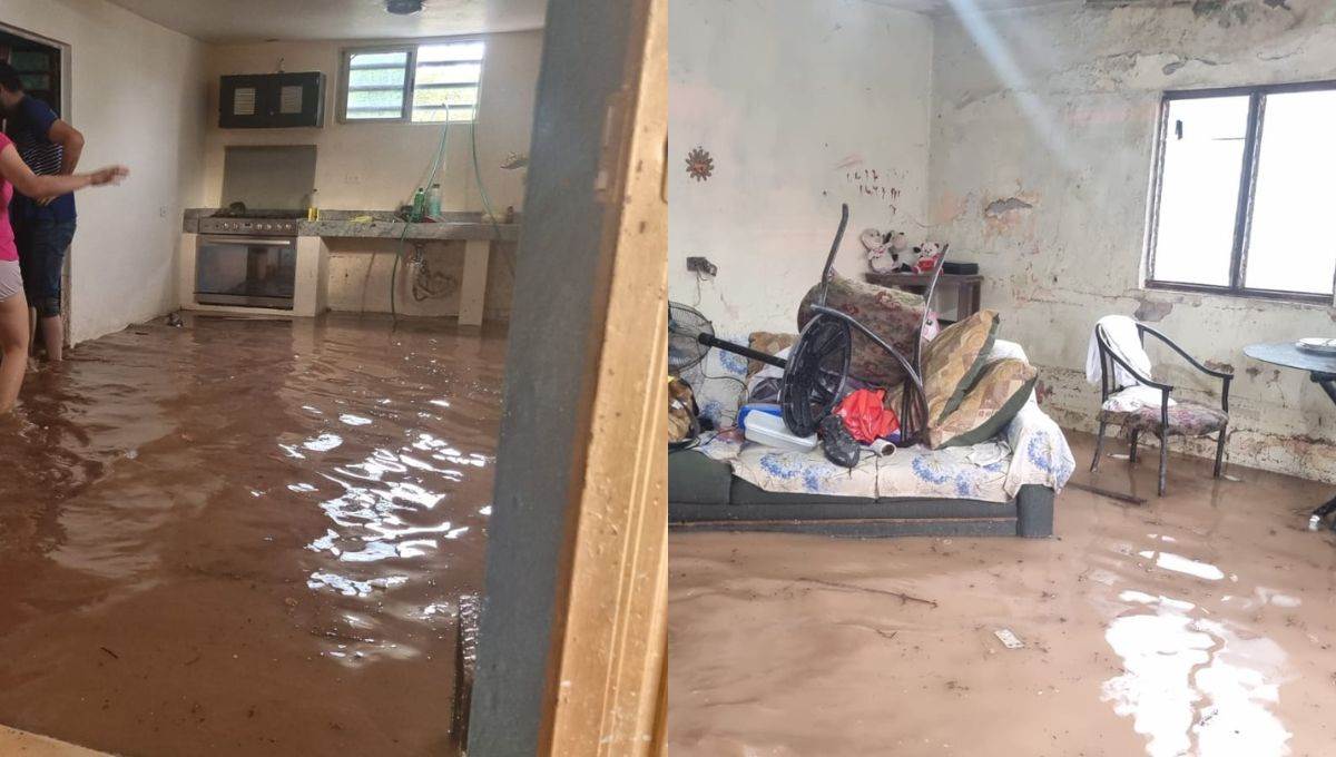 Las casas no presentaron daños severos. FOTO: Luz Noticias