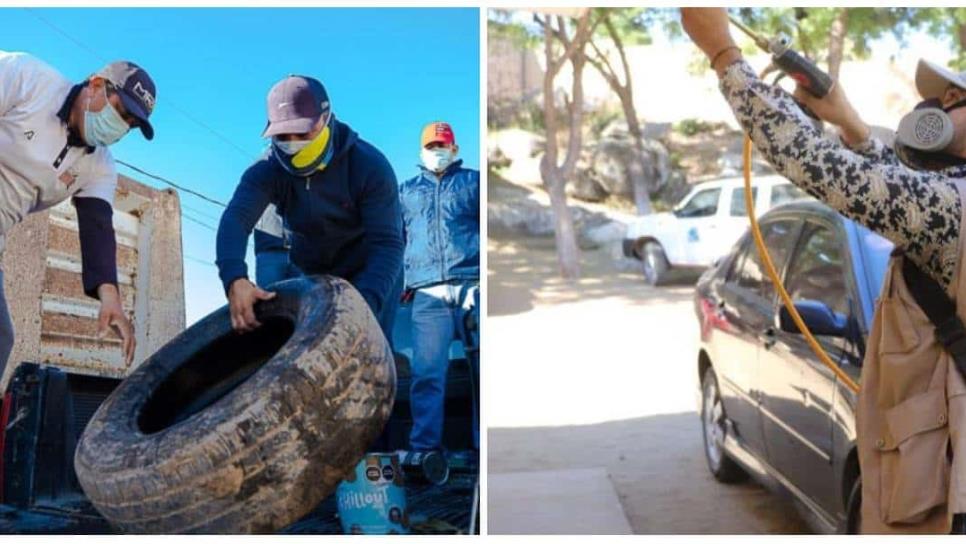 Secretaría de Salud llama a recibir a brigadistas por aumento de dengue en un 300% en Sinaloa