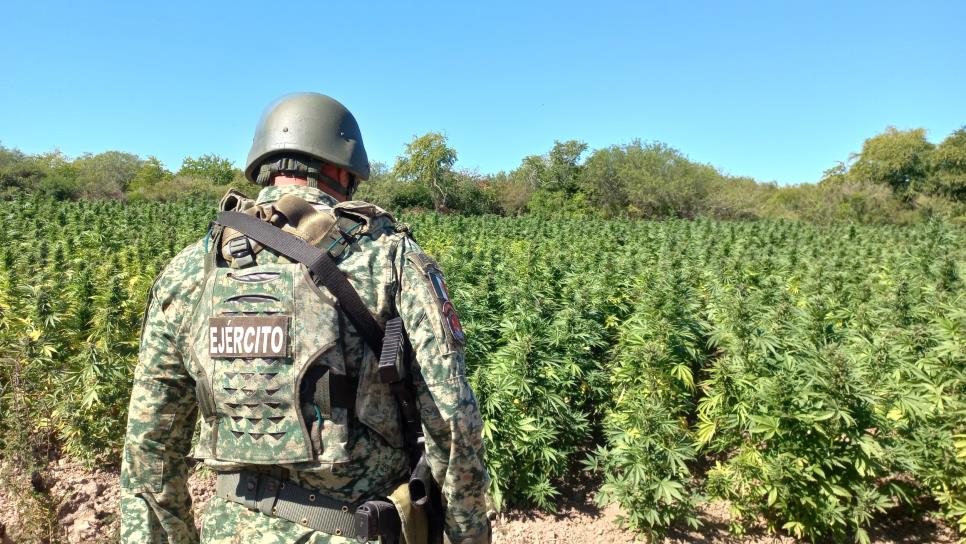 Ejército Mexicano decomisa 845 kg de metanfetamina en el mes de julio en Sinaloa