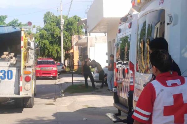 Cuatro menores resultan heridos tras ataque de abejas en Los Mochis; dos están graves